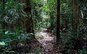 Springbrook Lyrebird Retreat