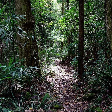 Springbrook Lyrebird Retreat Villa Exterior photo