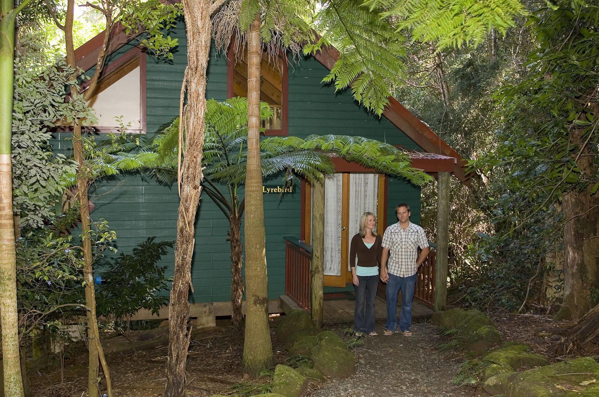 Springbrook Lyrebird Retreat Villa Exterior photo