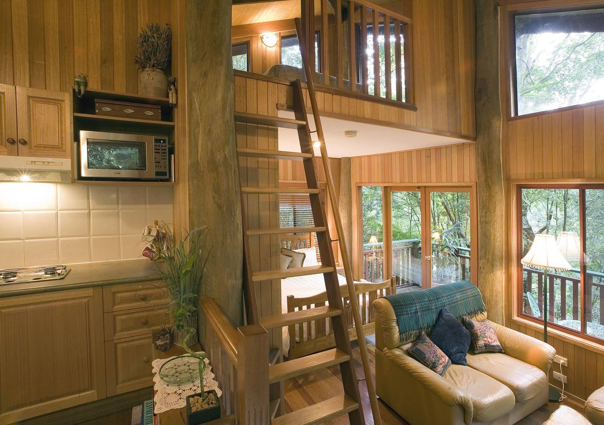 Springbrook Lyrebird Retreat Villa Exterior photo