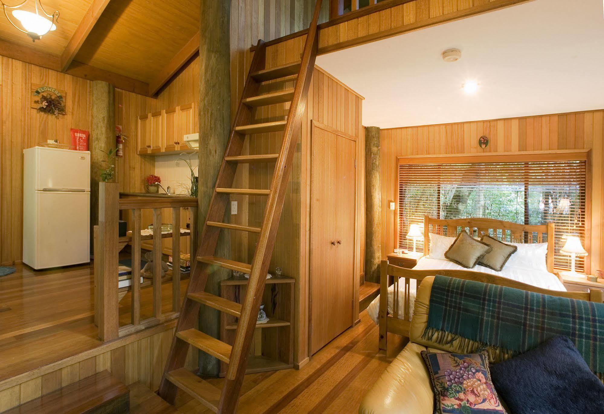 Springbrook Lyrebird Retreat Villa Exterior photo