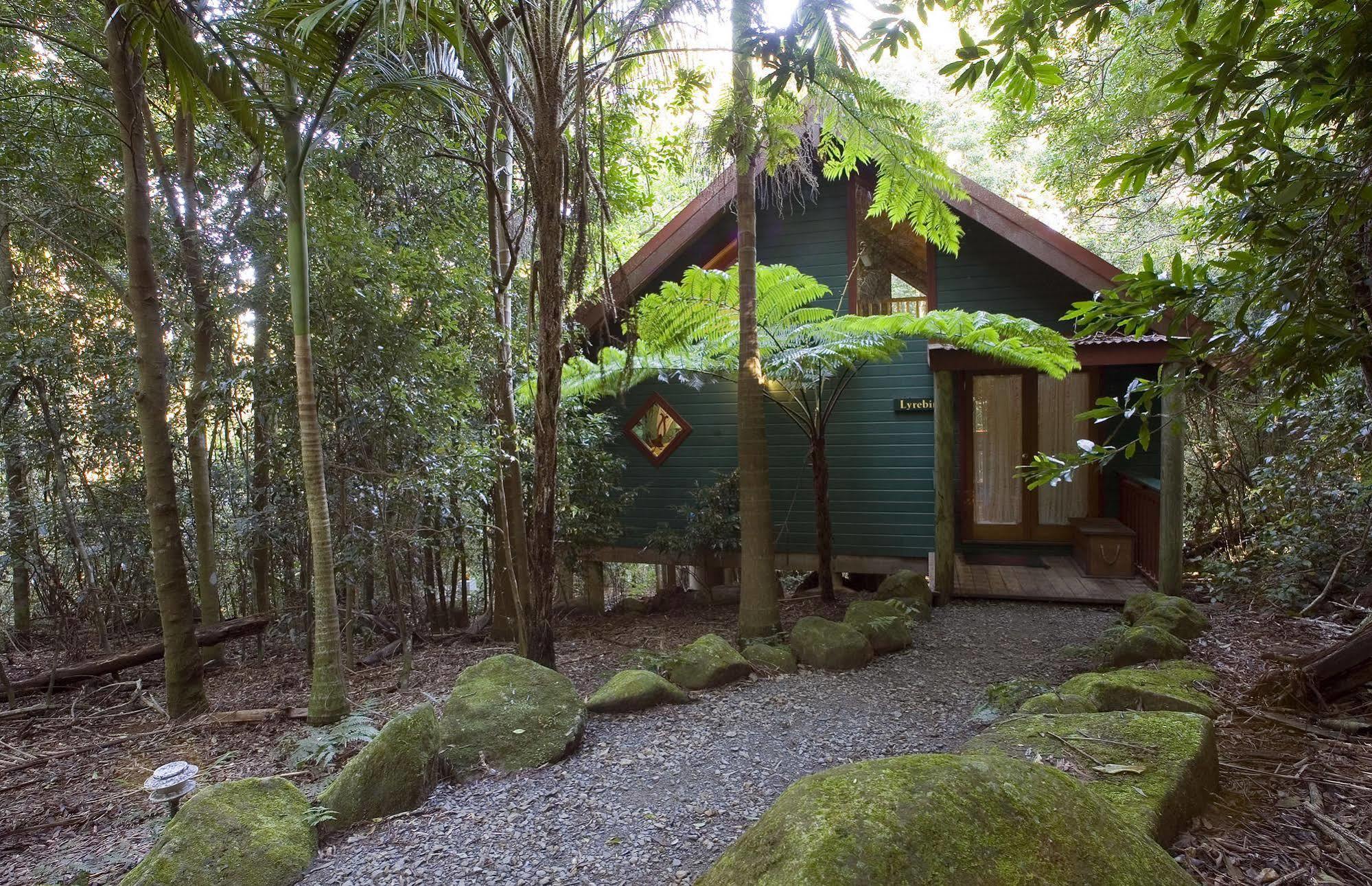 Springbrook Lyrebird Retreat Villa Exterior photo