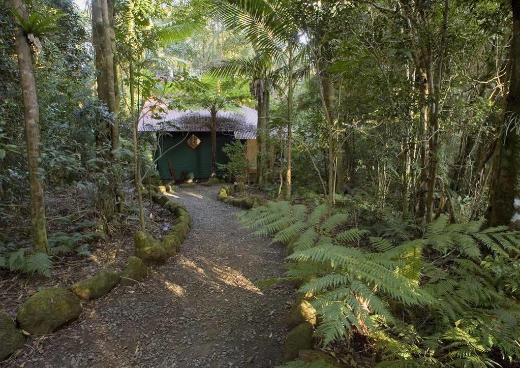 Springbrook Lyrebird Retreat Villa Exterior photo