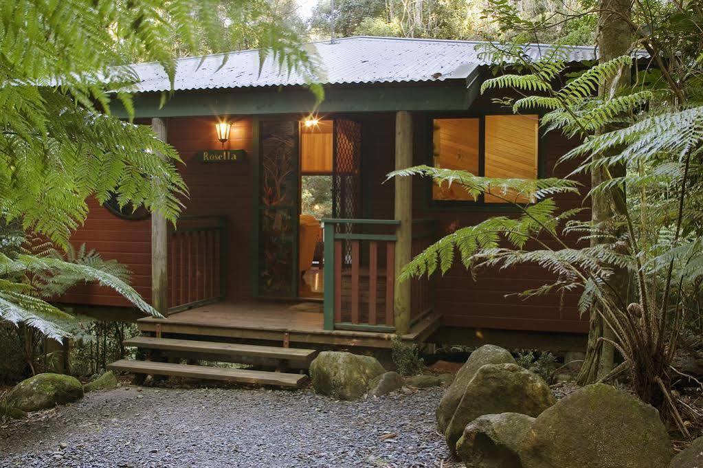 Springbrook Lyrebird Retreat Villa Exterior photo
