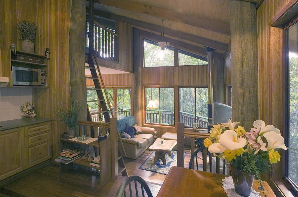 Springbrook Lyrebird Retreat Villa Exterior photo