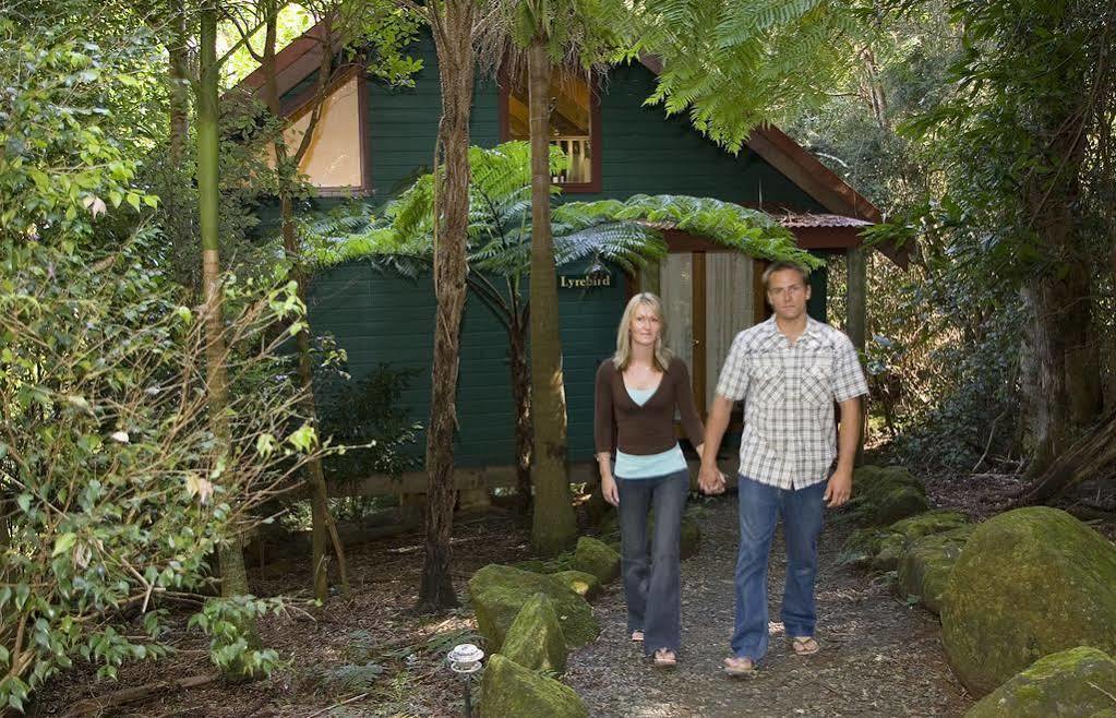 Springbrook Lyrebird Retreat Villa Exterior photo
